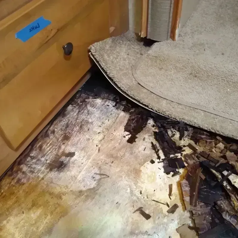 Best Wood Floor Water Damage Service in West Lafayette, IN